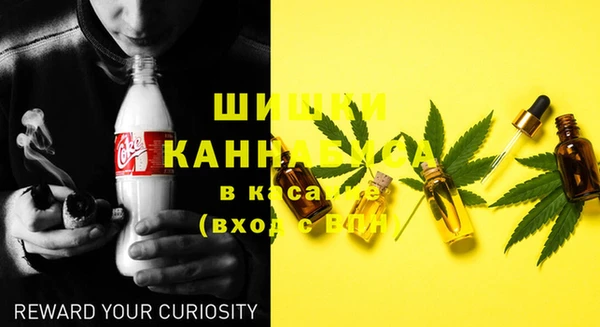 стафф Каменск-Шахтинский