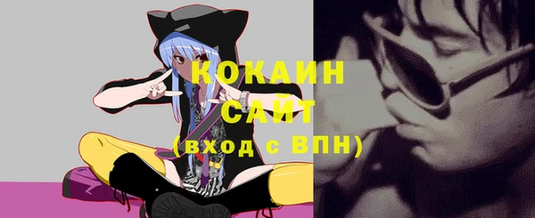 стафф Каменск-Шахтинский