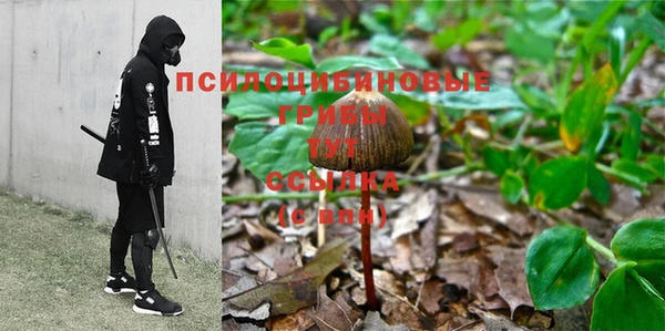 трава Каменка