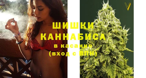 ГАЛЛЮЦИНОГЕННЫЕ ГРИБЫ Касимов