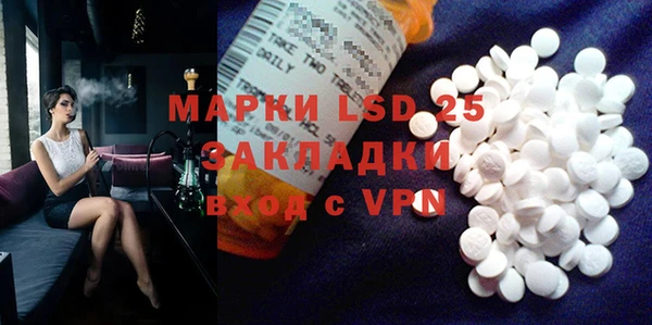 ГАЛЛЮЦИНОГЕННЫЕ ГРИБЫ Касимов