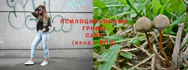 трава Каменка
